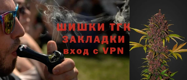 стаф Белокуриха
