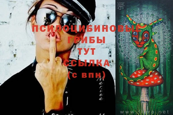 дурь Снежногорск