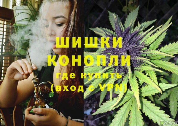 стаф Белокуриха
