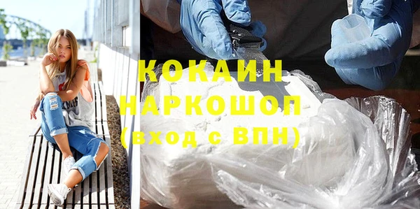 стаф Белокуриха