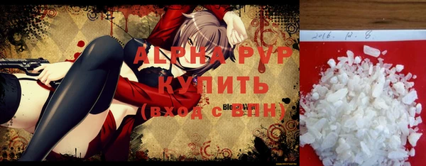 стаф Белокуриха