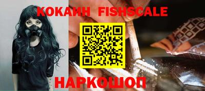 спиды Кандалакша
