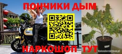 спиды Кандалакша