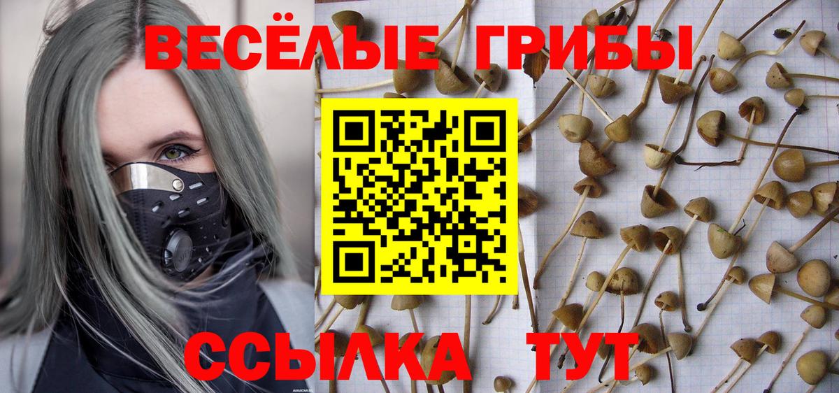 Краснокаменск  Псилоцибиновые грибы мухоморы  Вход с VPN 